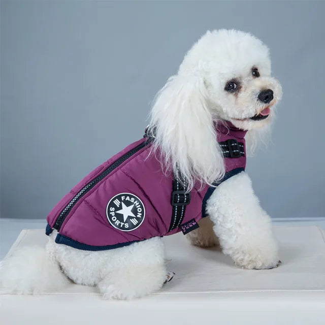 Veste Pour Chien Coupe-vent Et Imperméable Avec Harnais Intégré
