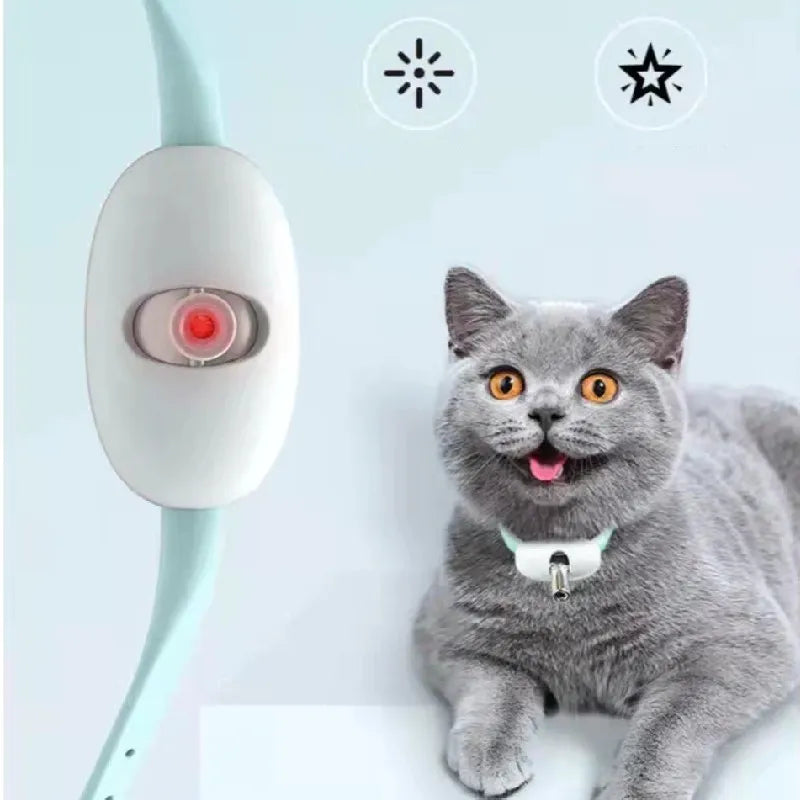 Pointeur Laser pour Chats - Jouet Interactif pour L' Activité et L' Amusement