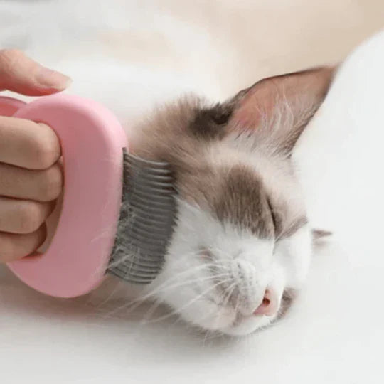 Brosse de Massage et de Soin pour Chats