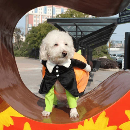 Costume D' Halloween de Citrouille pour Chiens