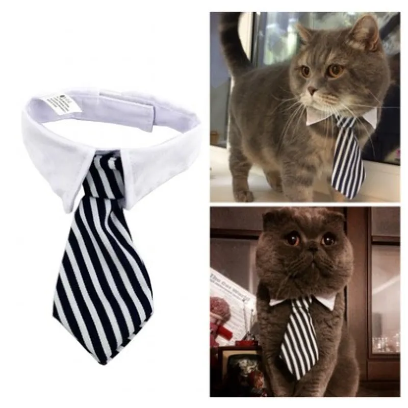 Col Élégant Pour Animaux De Compagnie Avec Cravate Pour Chiens Et Chats