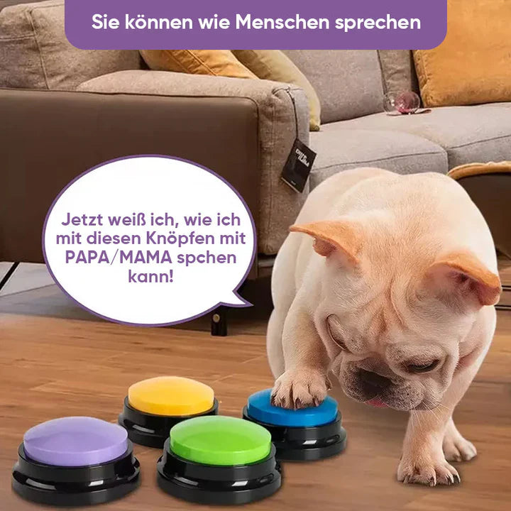 Bouton de Parole Interactif pour Animaux de Compagnie - Dressage & Communication