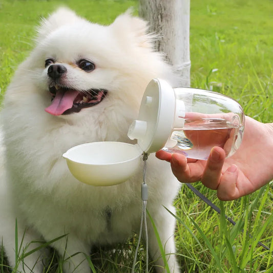 Bouteille pour Chiens - Bouteille D' Eau Portable avec Mécanisme D' Écoulement