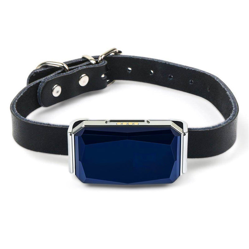 Traceur Gps Rechargeable Pour Chiens Avec Collier Et Usb
