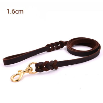 Laisse En Cuir Pour Chien Avec Mousqueton Doré - Accessoire Pour Chien Robuste Et Élégant