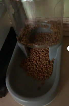 Distributeur Automatique de Nourriture et D' Eau pour Chiens et Chats - Capacité de 3,8 L
