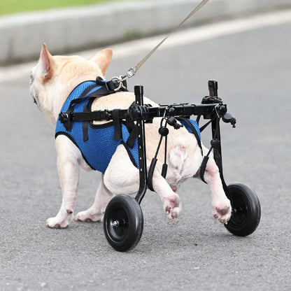 Aide à la Marche pour Chats et Chiens - Fauteuil Roulant pour la Mobilité et L' Indépendance
