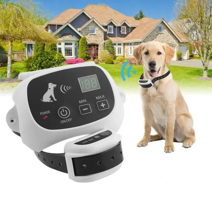 Système De Dressage De Clôtures Pour Chiens Sans Fil Rechargeable Ip67 Étanche