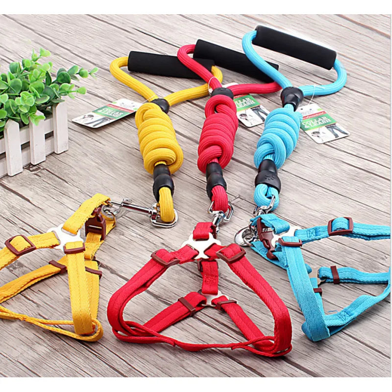 Harnais Pour Chien Réglable Avec Laisse En 5 Couleurs