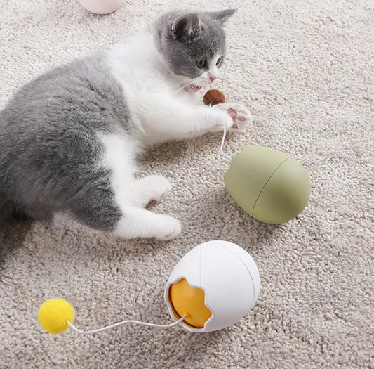 Jouets Interactifs pour Chats en Forme D' Œuf - Jouet avec Balle Mobile pour Chats