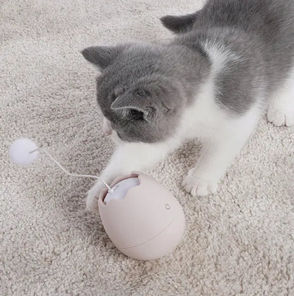 Jouets Interactifs pour Chats en Forme D' Œuf - Jouet avec Balle Mobile pour Chats