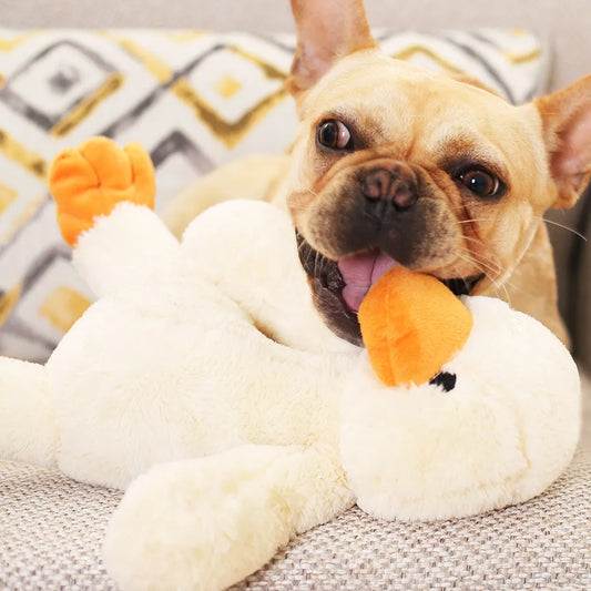 Jouets en Peluche pour Chiens - Jouet Doux en Forme de Canard