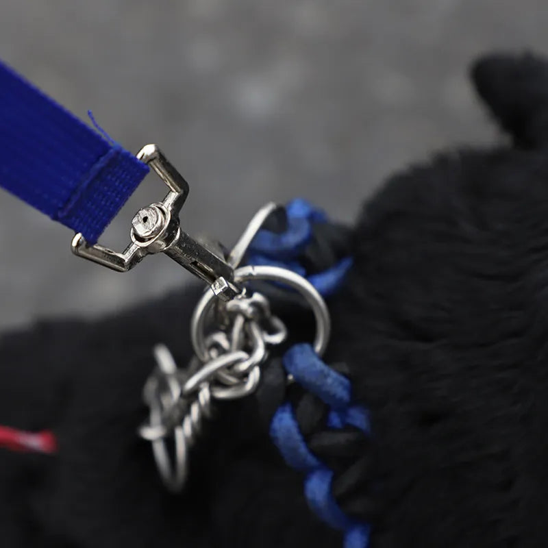 Laisse pour Chien avec Réservoir D' Eau Ecuelle Pliable et Sacs à Poubelle