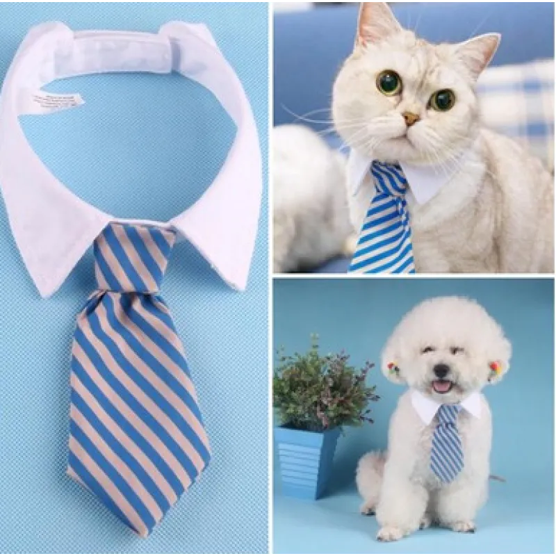 Col Élégant Pour Animaux De Compagnie Avec Cravate Pour Chiens Et Chats