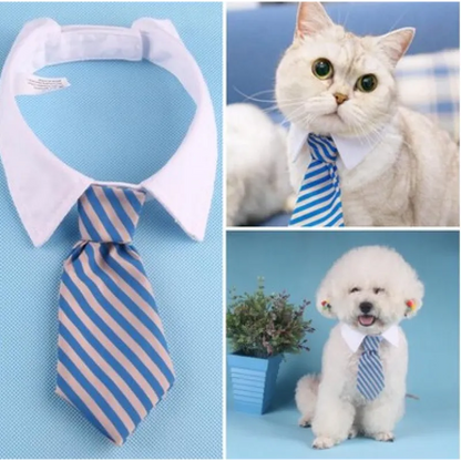 Col Élégant Pour Animaux De Compagnie Avec Cravate Pour Chiens Et Chats