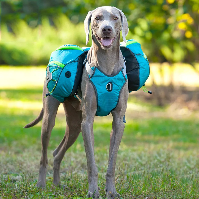 Sac À Dos De Randonnée Pour Chiens Avec Poches Étanches - Civière Portable Pour Chiens Pour Les Activités De Plein Air
