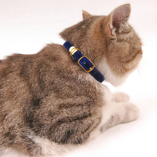 Collier Pour Chat En Velours Avec Boucle Dorée - Réglable Et Élégant