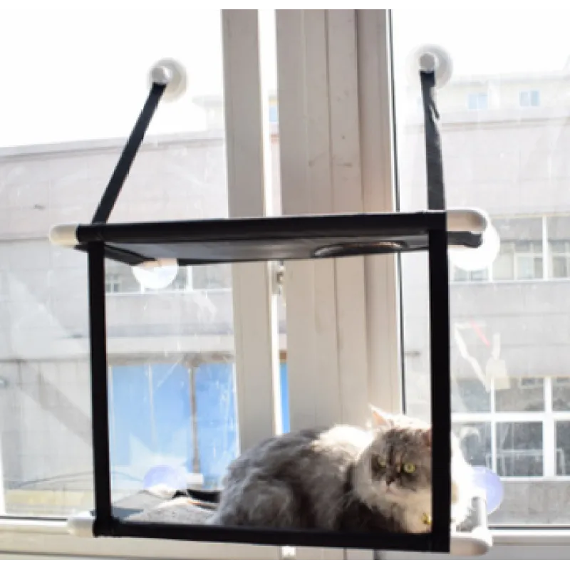 Chat Fenêtre - Peu Encombrant et Stable avec Pieds à Ventouses