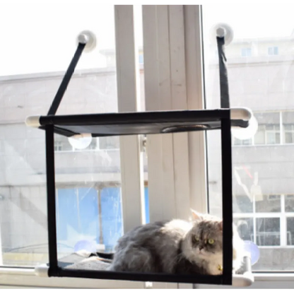 Chat Fenêtre - Peu Encombrant et Stable avec Pieds à Ventouses