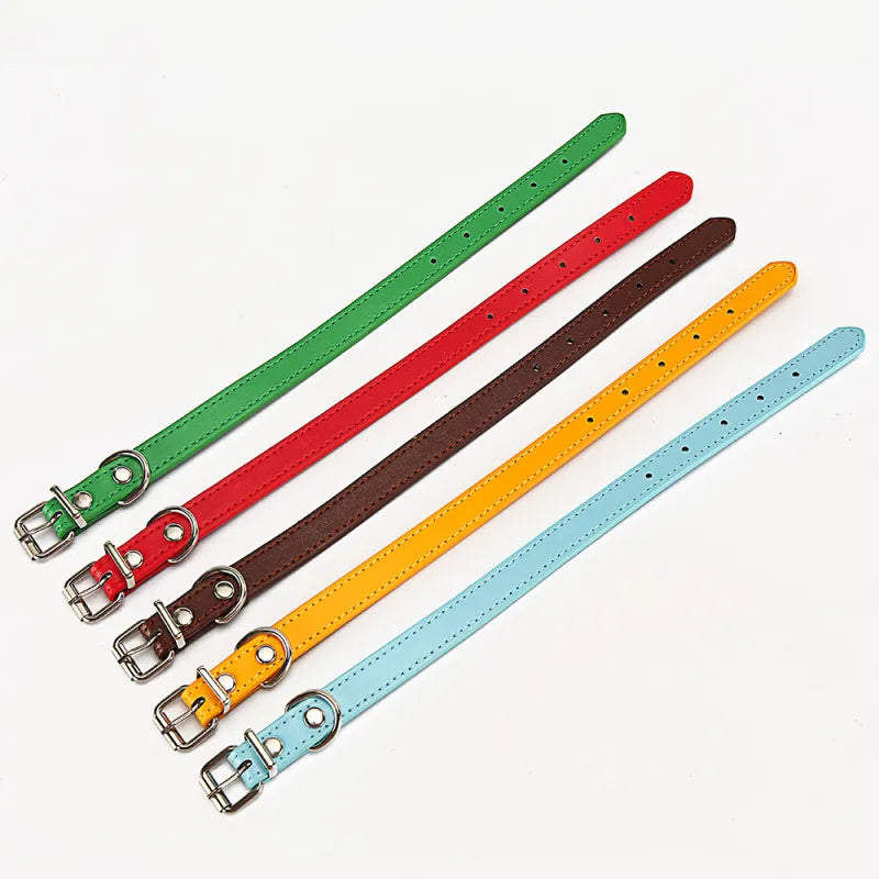 Collier En Cuir Coloré Pour Chien - Réglable Et Résistant