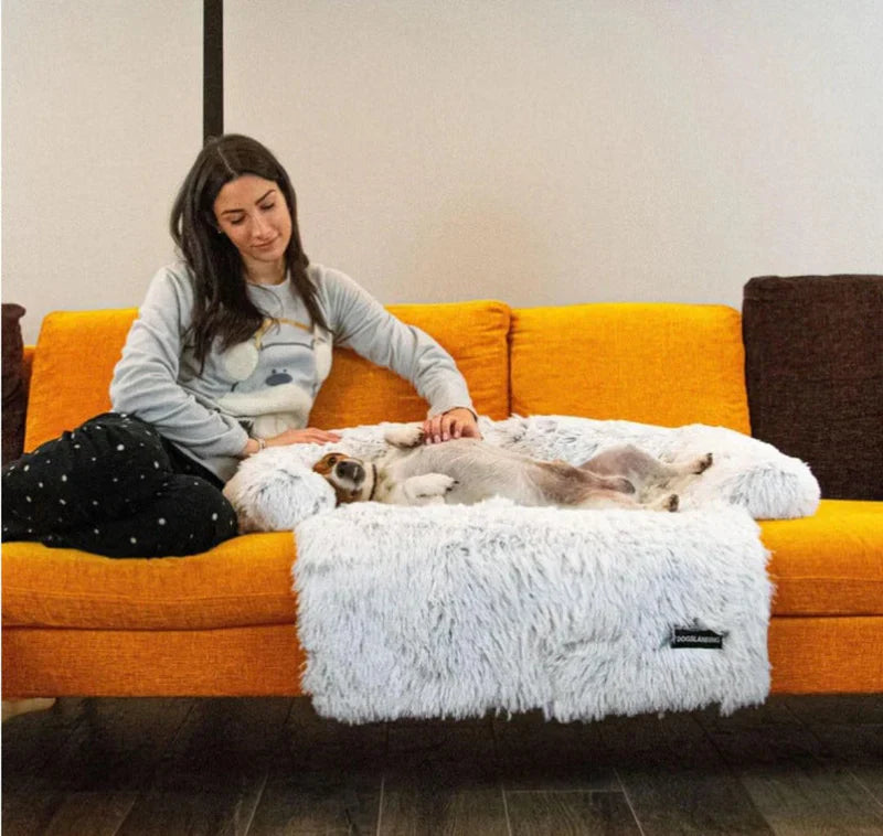 Sofa Luxueux Pour Chien