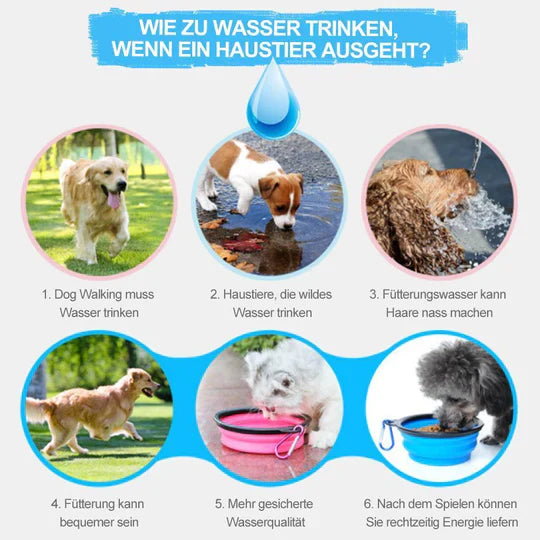 Bouteille Portable D' Eau et de Nourriture 2 en 1 pour Animaux Domestiques