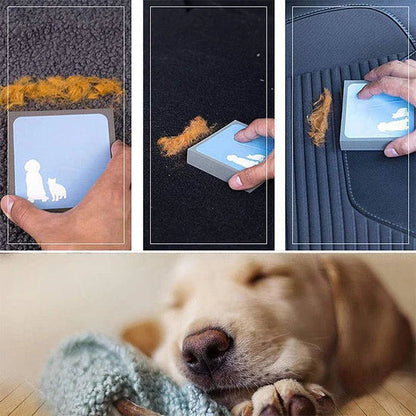 Eponge pour Enlever les Poils D' Animaux pour les Meubles et la Voiture