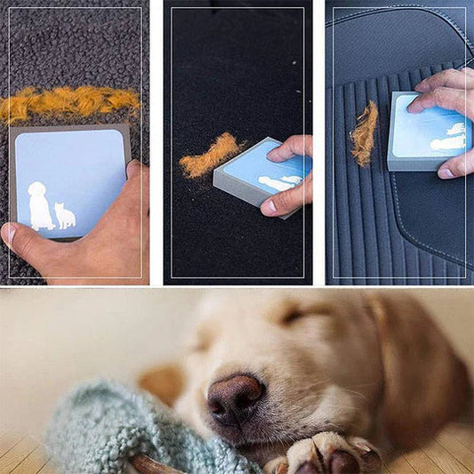Eponge pour Enlever les Poils D' Animaux pour les Meubles et la Voiture