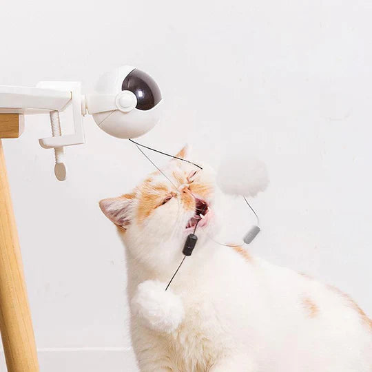 Jouet Automatique pour Chats