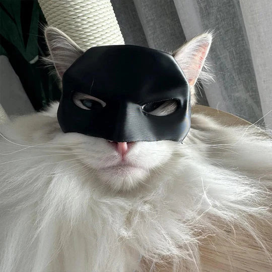 Masque de Chat Héroïque pour des Apparitions Uniques