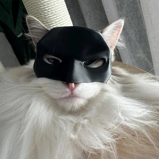 Masque de Chat Héroïque pour des Apparitions Uniques