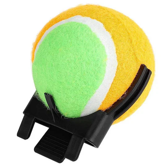 Jouets à Balles Interactives pour Animaux Domestiques