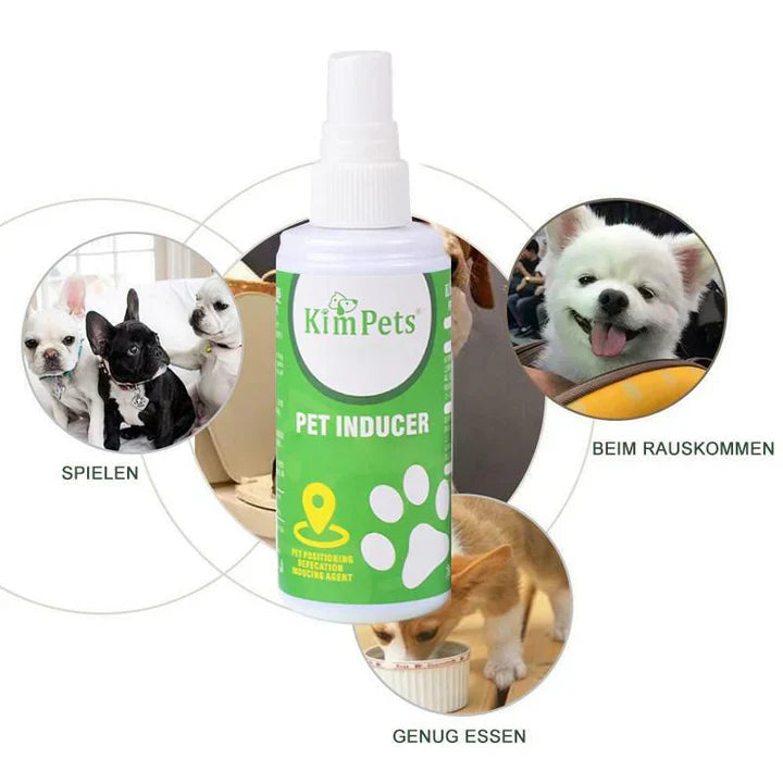 Instructions pour le Placement Ciblé des Toilettes pour Animaux de Compagnie
