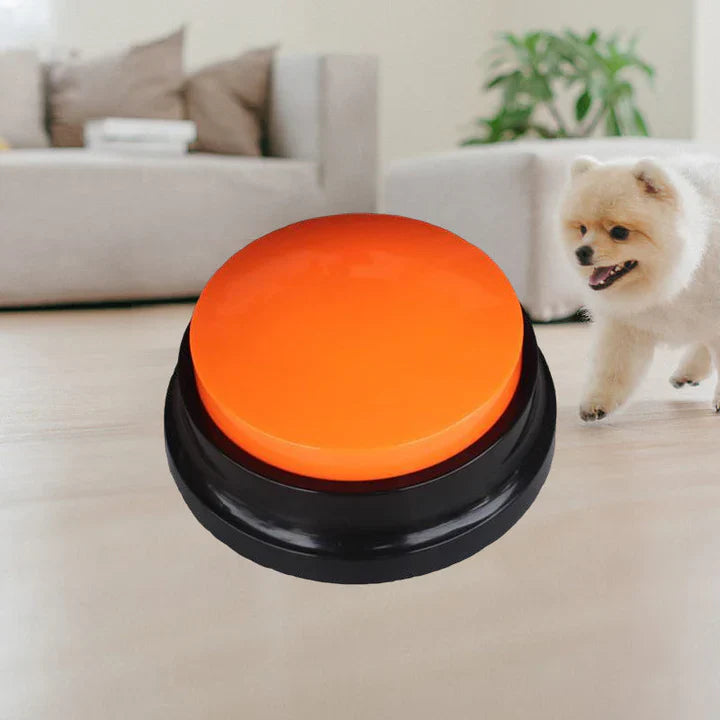 Bouton de Parole Interactif pour Animaux de Compagnie - Dressage & Communication