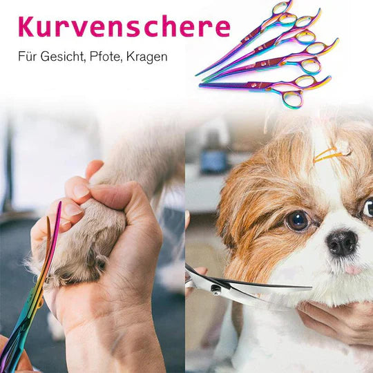 Ciseaux pour Couper les Cheveux des Chiens - Soin Précis du Pelage