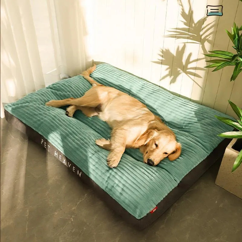 Coussin Ergonomique Pour Chien Avec Housse Amovible