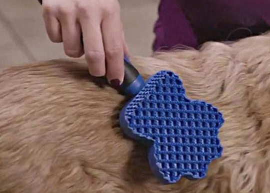 Brosse pour Chien Multifonctionnelle en Silicone avec Fonction de Massage pour un Toilettage en Douceur