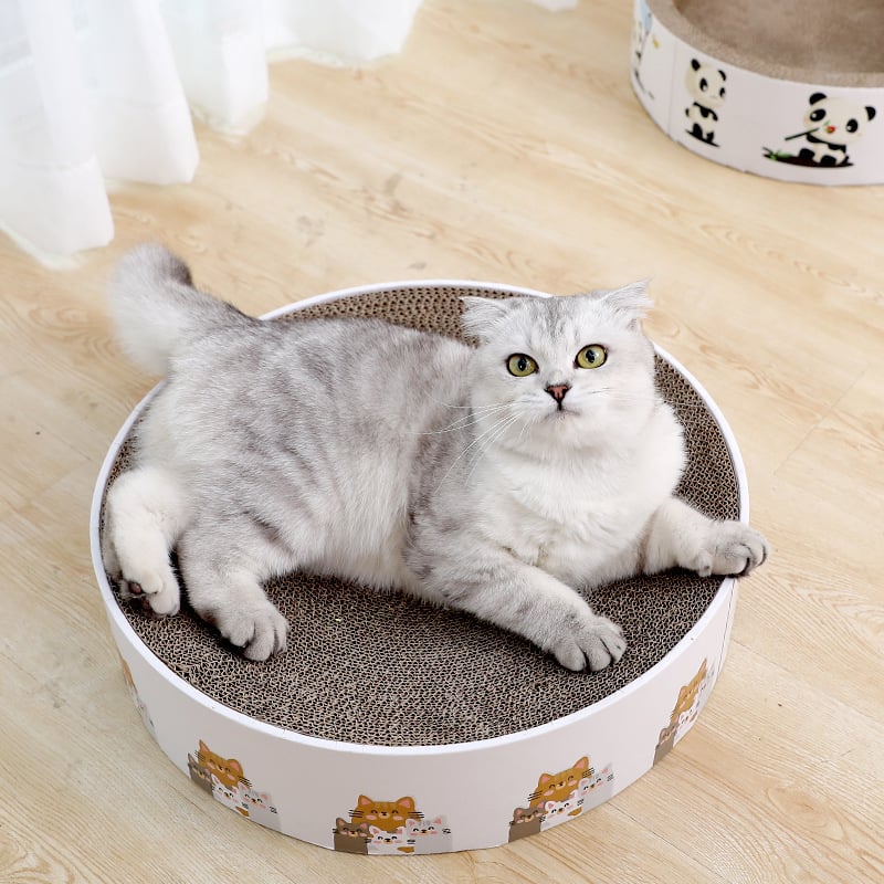 Tapis à Gratter pour Chat Rond avec Design Mignon - Planche à Gratter pour Chat pour Plus de Plaisir et de Détente