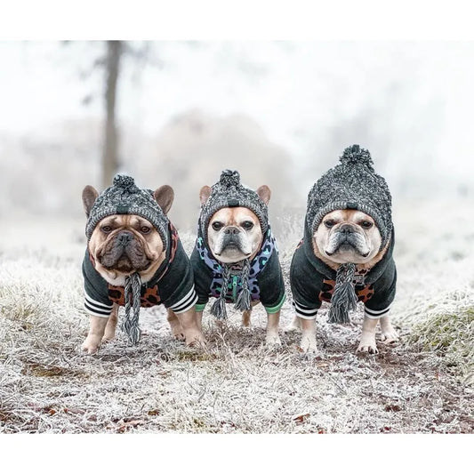 Casquette Stylée Pour Chiens Avec Pompon - Bonnet D' Hiver Chaud Pour Petits Chiens