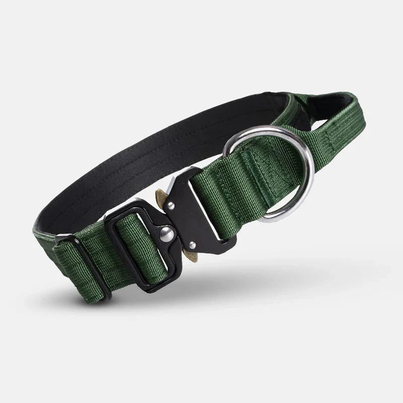 Collier De Chien Pratique Avec Poignée Pour Un Meilleur Contrôle