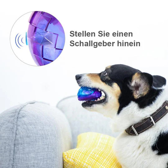 Balle à Mâcher de Longue Durée pour Chiens