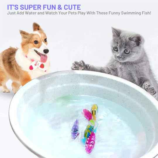 Jouets Aquatiques Interactifs - Poissons Flottants pour Animaux de Compagnie