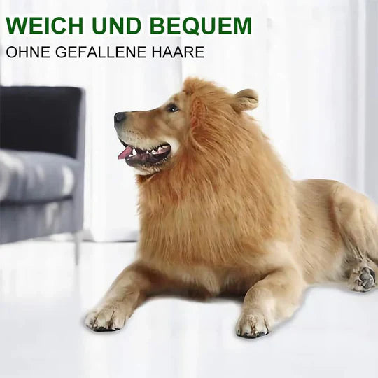Costume de Chien à Crinière de Lion