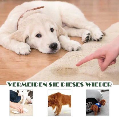 Instructions pour le Placement Ciblé des Toilettes pour Animaux de Compagnie