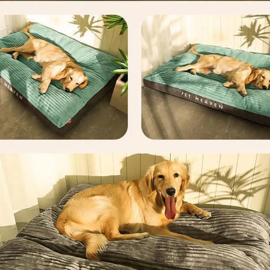 Coussin Ergonomique Pour Chien Avec Housse Amovible