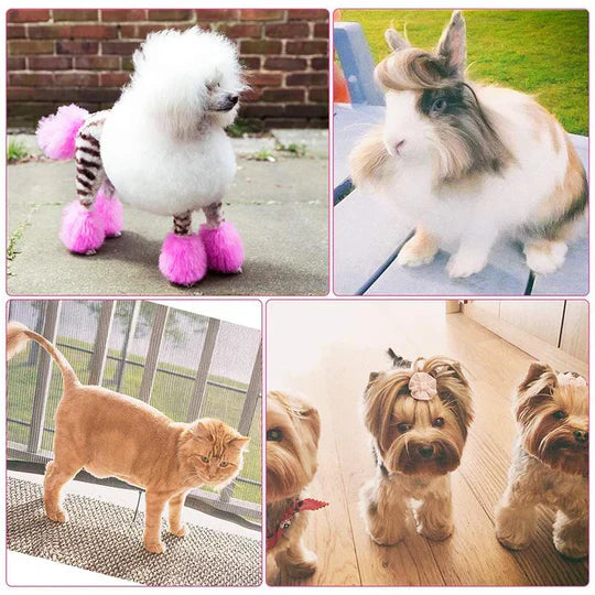 Ciseaux pour Couper les Cheveux des Chiens - Soin Précis du Pelage