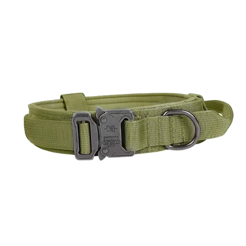 Collier De Chien Réglable En Nylon Avec Fermeture Robuste Par Clic