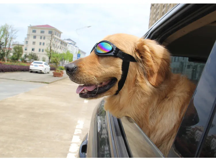 Lunettes De Protection Anti-uv Pour Chiens En 7 Couleurs
