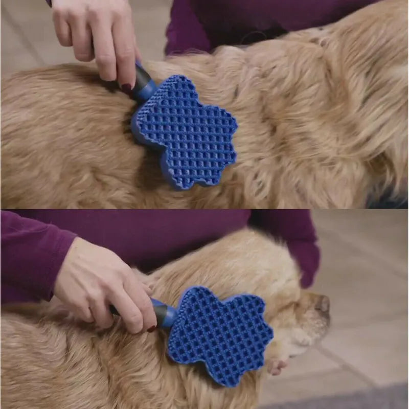 Brosse pour Chien Multifonctionnelle en Silicone avec Fonction de Massage pour un Toilettage en Douceur