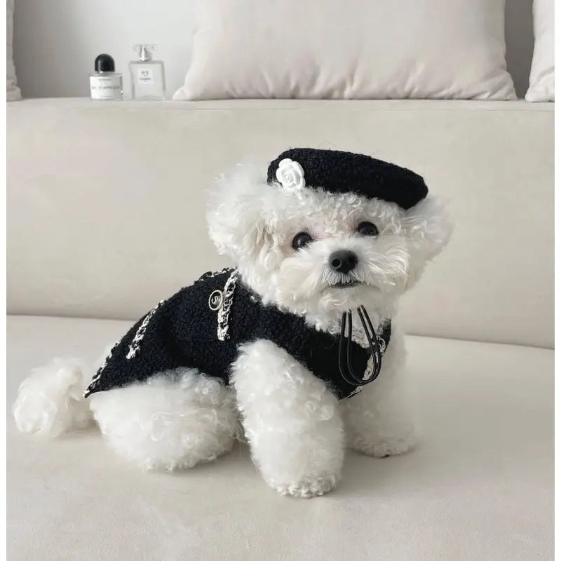 Collier De Chien Élégant Avec Un Petit Chapeau Chic Et Une Application De Fleurs - Design À La Mode Pour Ton Compagnon À Quatre Pattes